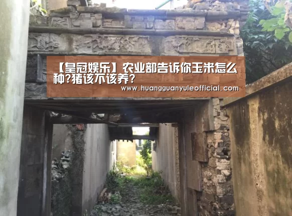 皇冠彩票