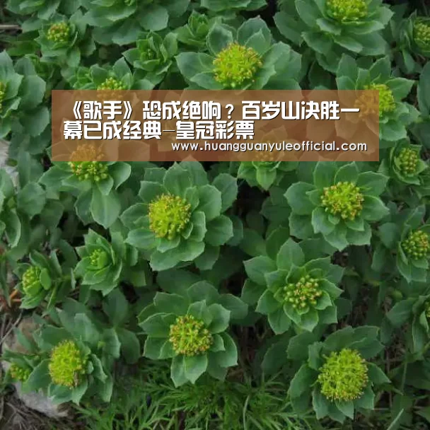 皇冠娱乐