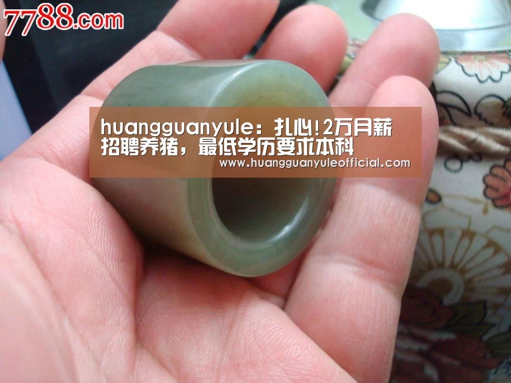 huangguanyule：扎心!2万月薪招聘养猪，最低学历要求本科(图1)