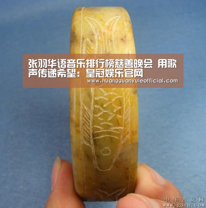 张羽华语音乐排行榜慈善晚会 用歌声传递希望:皇冠娱乐官网(图1) 皇冠娱乐