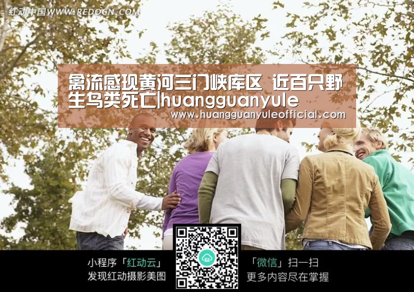 禽流感现黄河三门峡库区 近百只野生鸟类死亡|huangguanyule(图3) 皇冠彩票