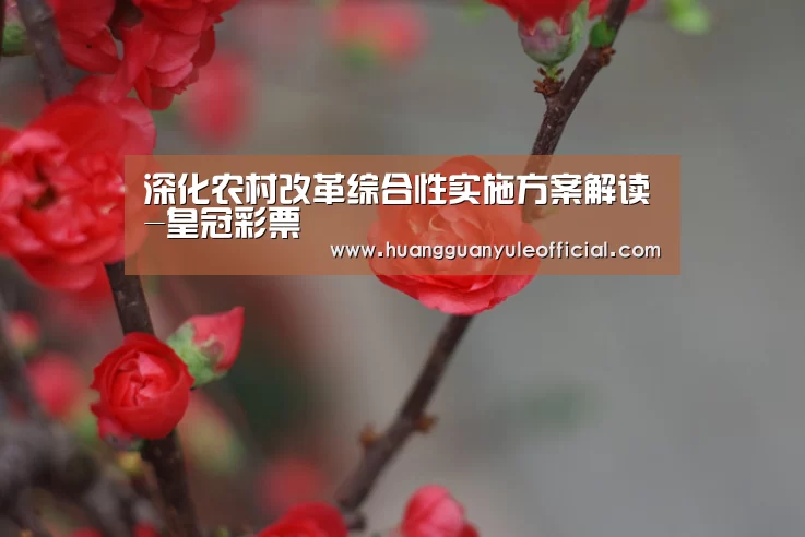 深化农村改革综合性实施方案解读-皇冠彩票(图3) 皇冠彩票