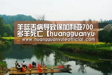 羊蓝舌病导致保加利亚700多羊死亡【huangguanyule】(图2) 皇冠娱乐官网