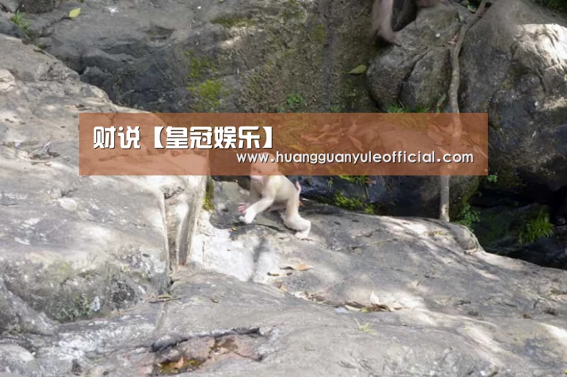财说【皇冠娱乐】(图2)
财说【皇冠娱乐】(图2)